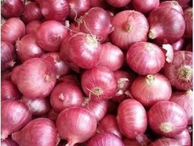 Piyaz Onion 2.5 kg