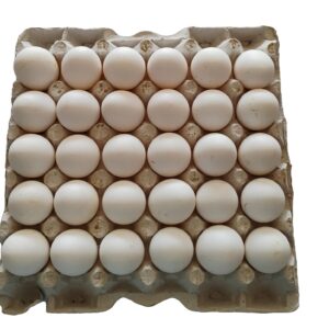 Anda Eggs  30 pcs tray