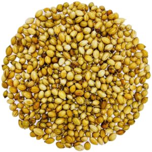 Dhania - Dhaniya sabut  Coriander