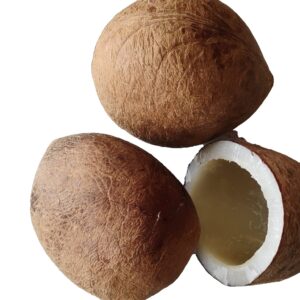 Nariyal Gari - Dry Coconut 100g