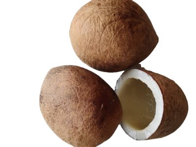 Nariyal Gari - Dry Coconut 100g