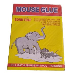 Mouse Glue Bond Trap Rat killer  chuha mar