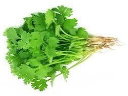 Dhanya Patta - coriander